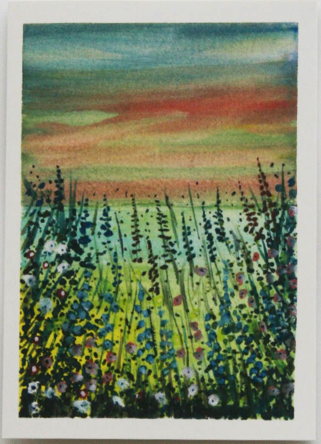 McKenzie Lupins 2
